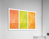 Autumn Leaves Acrylic Print