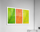 Autumn Leaves Acrylic Print