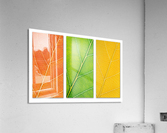 Autumn Leaves Acrylic Print