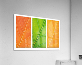 Autumn Leaves Acrylic Print