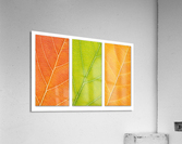 Autumn Leaves Acrylic Print