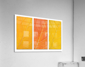 Autumn Leaves Acrylic Print