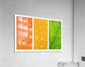 Autumn Leaves Acrylic Print