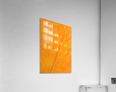 Autumn Leaf Acrylic Print
