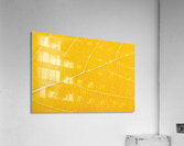 Autumn Leaf Acrylic Print