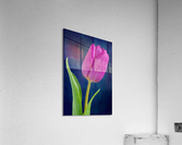 Tulip Acrylic Print