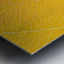 Autumn Leaf Metal print