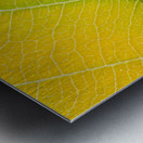 Autumn Leaf Metal print
