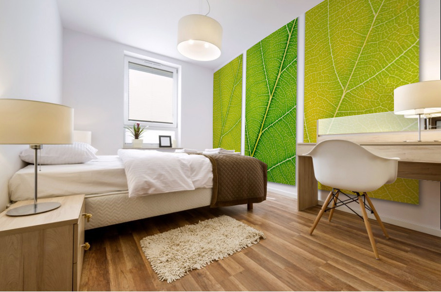 Autumn Leaves Mural print