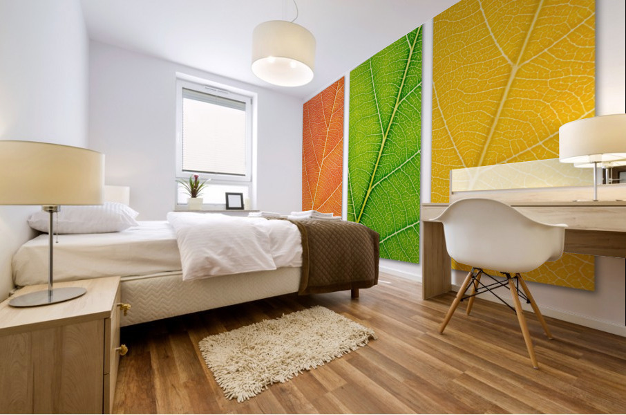 Autumn Leaves Mural print