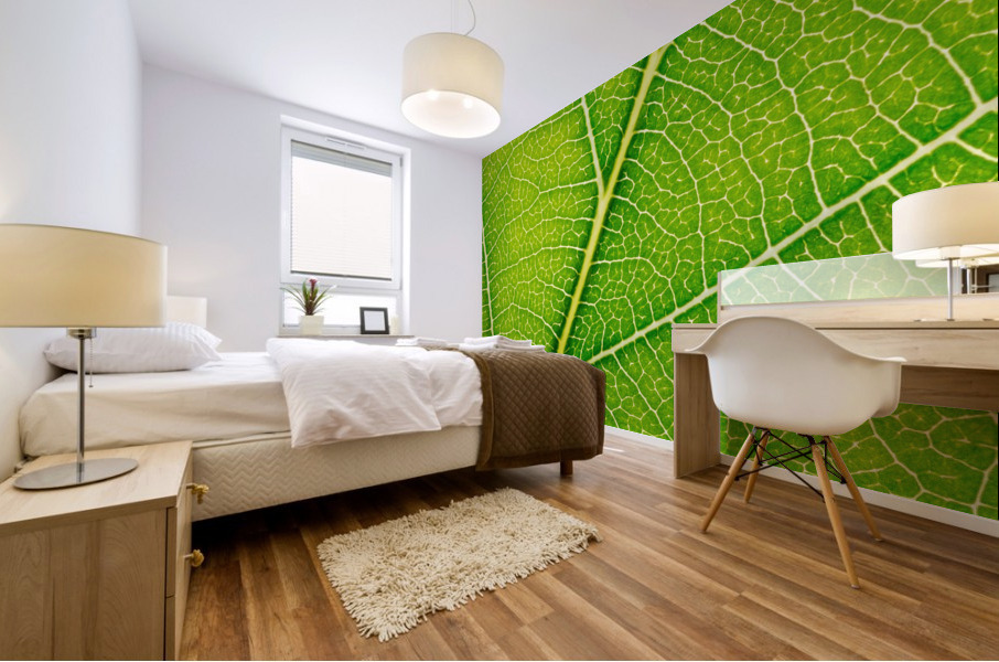 Autumn Leaf Mural print