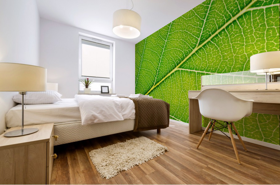 Autumn Leaf Mural print
