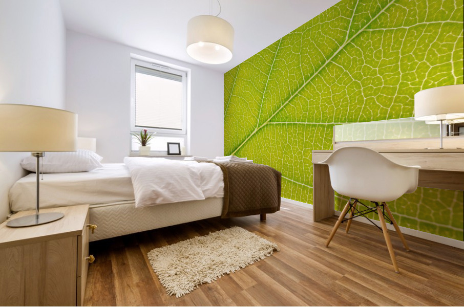 Autumn Leaf Mural print