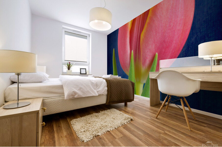 Tulip Mural print
