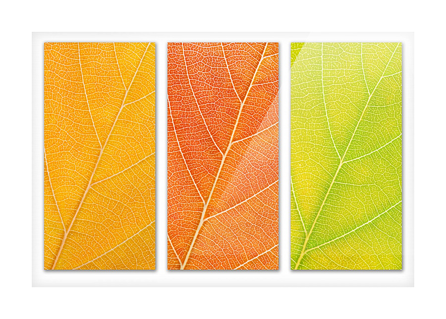 Autumn Leaves Picture Frame print