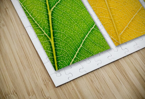Autumn Leaves Philippe Monthoux puzzle
