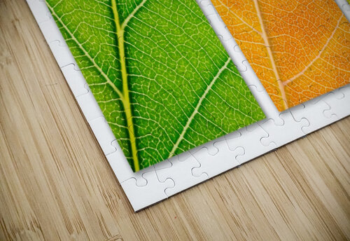 Autumn Leaves Philippe Monthoux puzzle