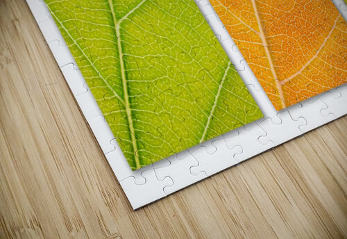 Autumn Leaves Philippe Monthoux puzzle