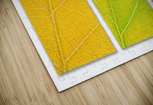 Autumn Leaves Philippe Monthoux puzzle