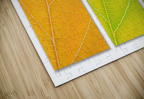 Autumn Leaves Philippe Monthoux puzzle