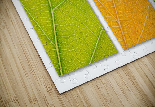 Autumn Leaves Philippe Monthoux puzzle