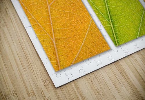 Autumn Leaves Philippe Monthoux puzzle