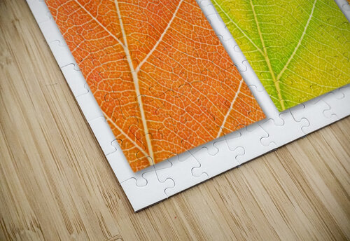 Autumn Leaves Philippe Monthoux puzzle