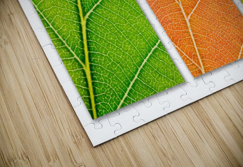 Autumn Leaves Philippe Monthoux puzzle