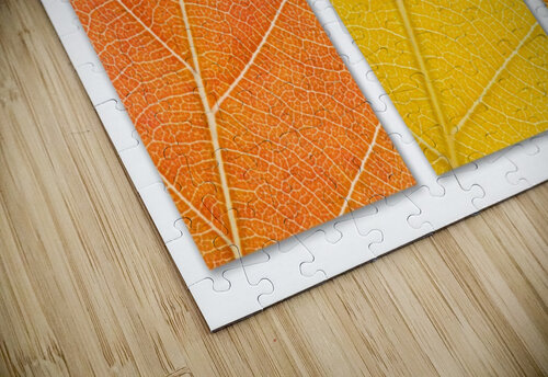 Autumn Leaves Philippe Monthoux puzzle