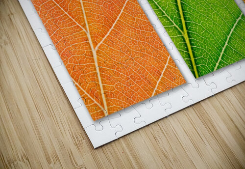 Autumn Leaves Philippe Monthoux puzzle