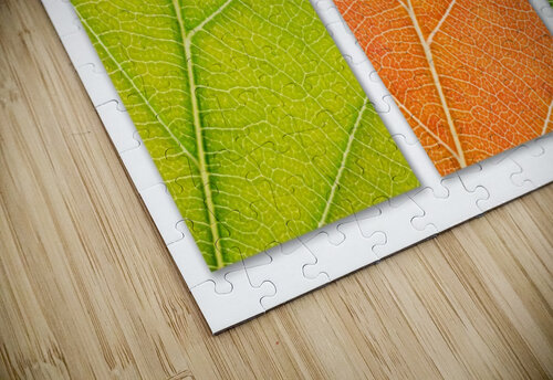 Autumn Leaves Philippe Monthoux puzzle