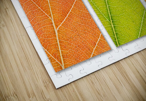 Autumn Leaves Philippe Monthoux puzzle