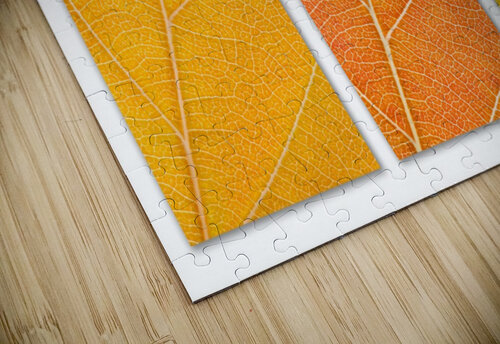 Autumn Leaves Philippe Monthoux puzzle