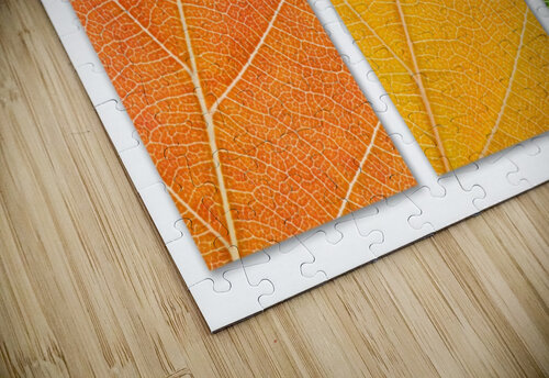 Autumn Leaves Philippe Monthoux puzzle