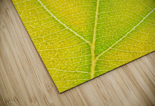 Autumn Leaf Philippe Monthoux puzzle