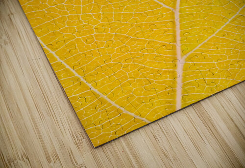 Autumn Leaf Philippe Monthoux puzzle