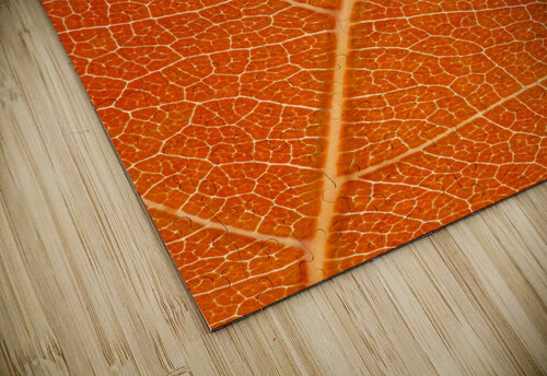 Autumn Leaf Philippe Monthoux puzzle