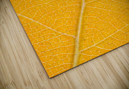 Autumn Leaf Philippe Monthoux puzzle