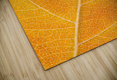 Autumn Leaf Philippe Monthoux puzzle