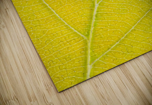 Autumn Leaf Philippe Monthoux puzzle