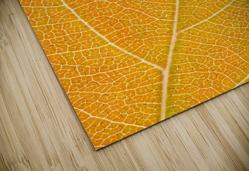 Autumn Leaf Philippe Monthoux puzzle