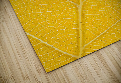 Autumn Leaf Philippe Monthoux puzzle