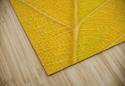 Autumn Leaf Philippe Monthoux puzzle