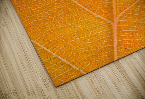 Autumn Leaf Philippe Monthoux puzzle