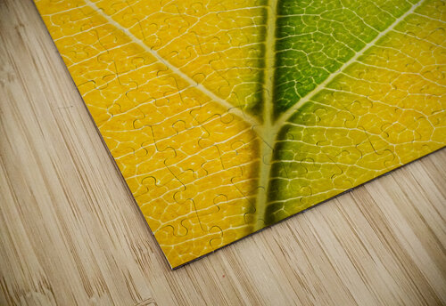 Autumn Leaf Philippe Monthoux puzzle