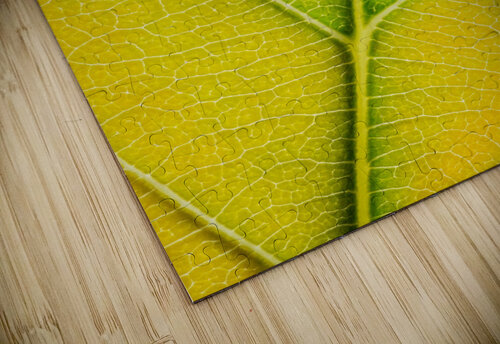 Autumn Leaf Philippe Monthoux puzzle