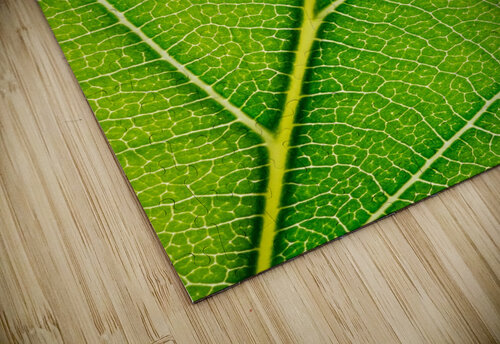 Autumn Leaf Philippe Monthoux puzzle