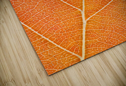 Autumn Leaf Philippe Monthoux puzzle