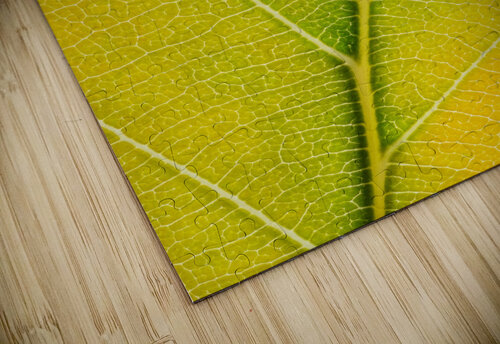Autumn Leaf Philippe Monthoux puzzle