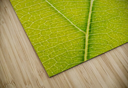 Autumn Leaf Philippe Monthoux puzzle